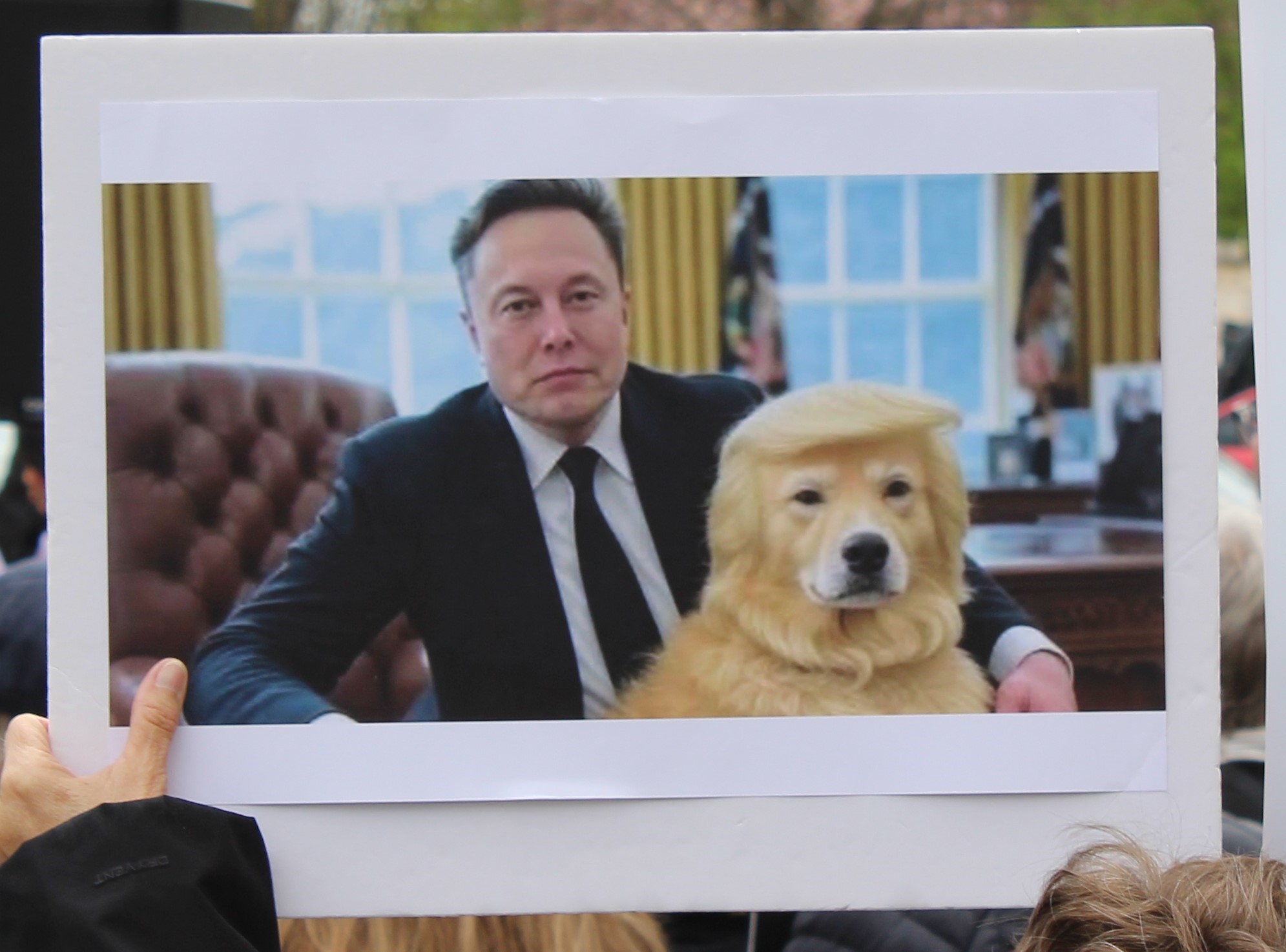A protest sign of Musk and his dog